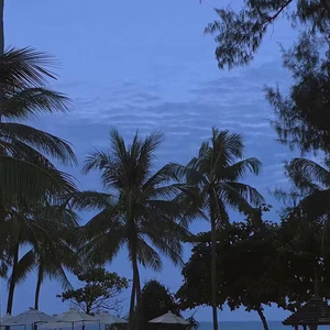 国产麻豆乱伦AV
